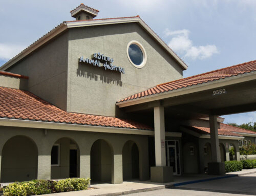 Estero Animal Hospital