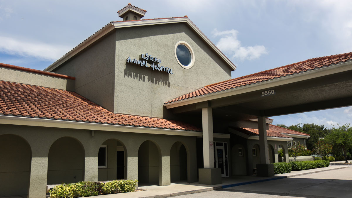 Estero Animal Hospital Exterior - Architectural Design by Arcraft Studio Architects